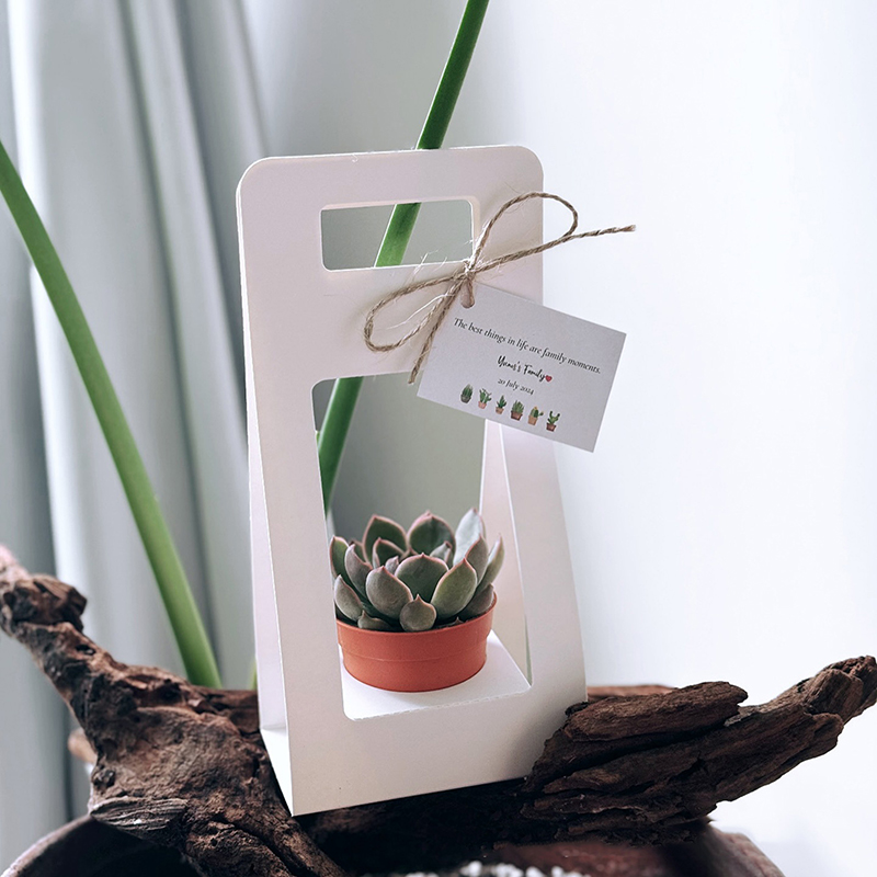 صندوق هدايا جديد مزدوج الجوانب - مراجعة Kraft Paper Box وسعره