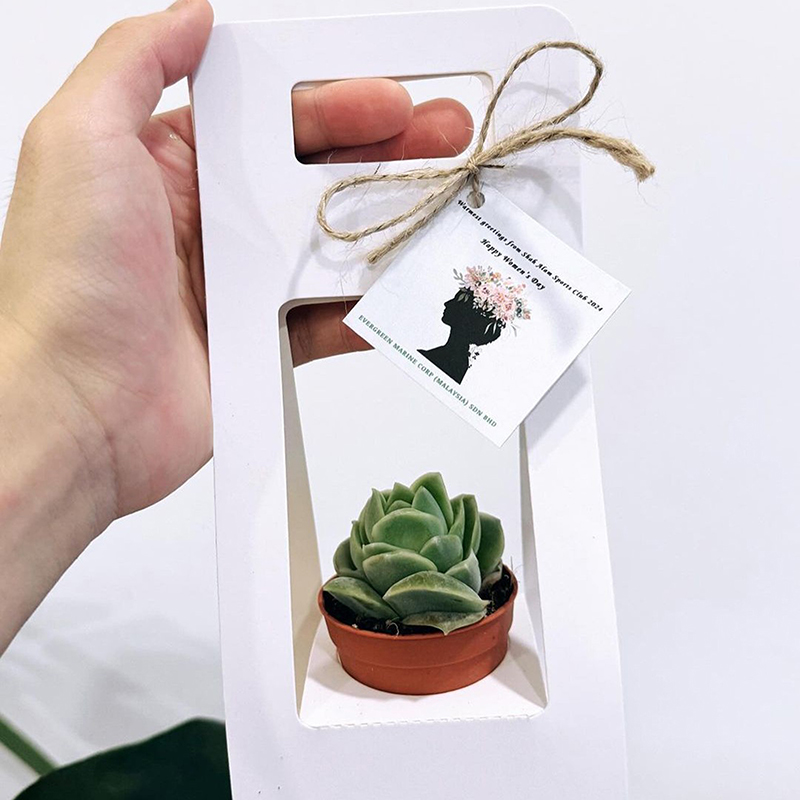 صندوق هدايا جديد مزدوج الجوانب - مراجعة Kraft Paper Box وسعره